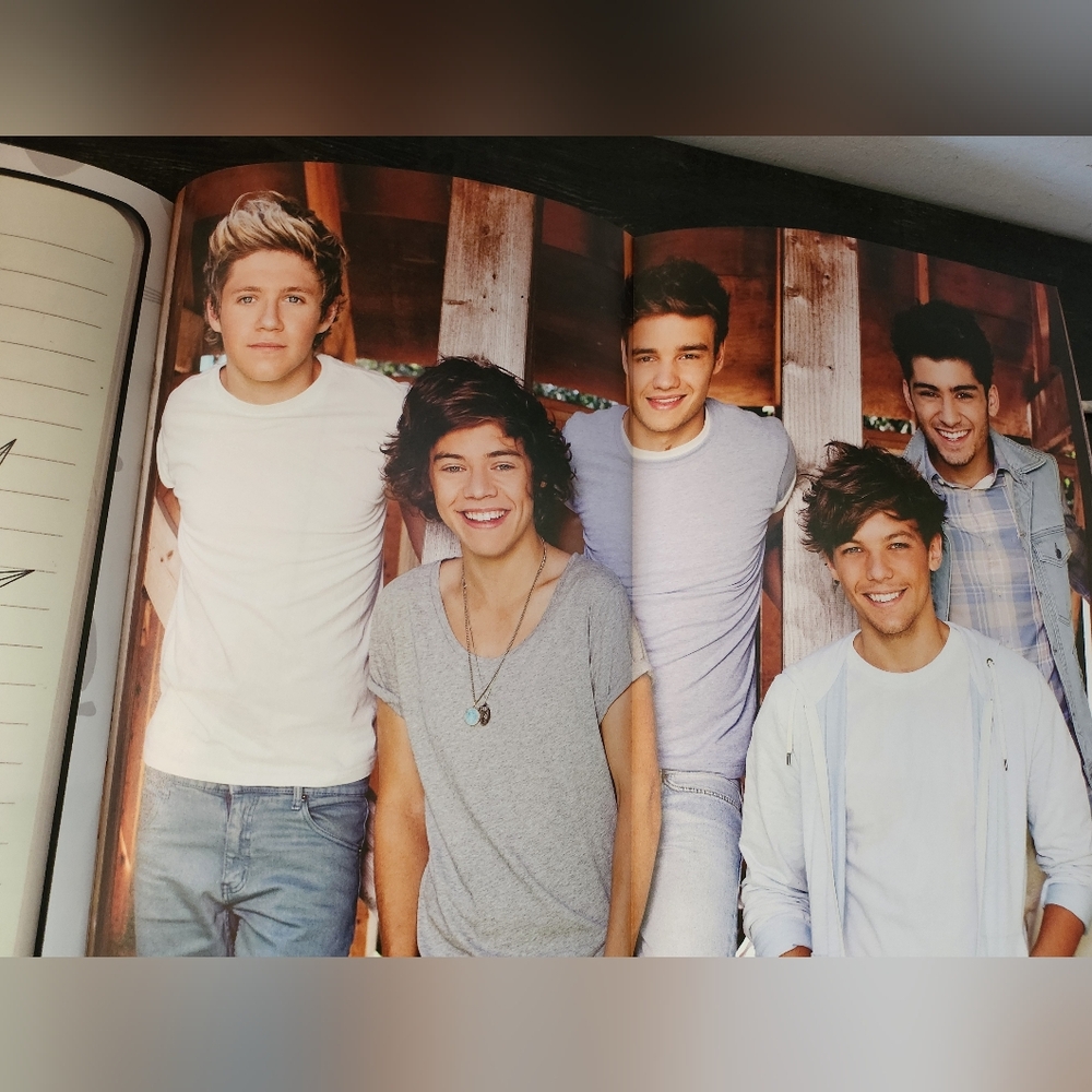 One Direction Ultimate Fan Book - Picture 13 of 16
